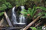 Водопад "Hogarth", остров Тасмания, Австралия.