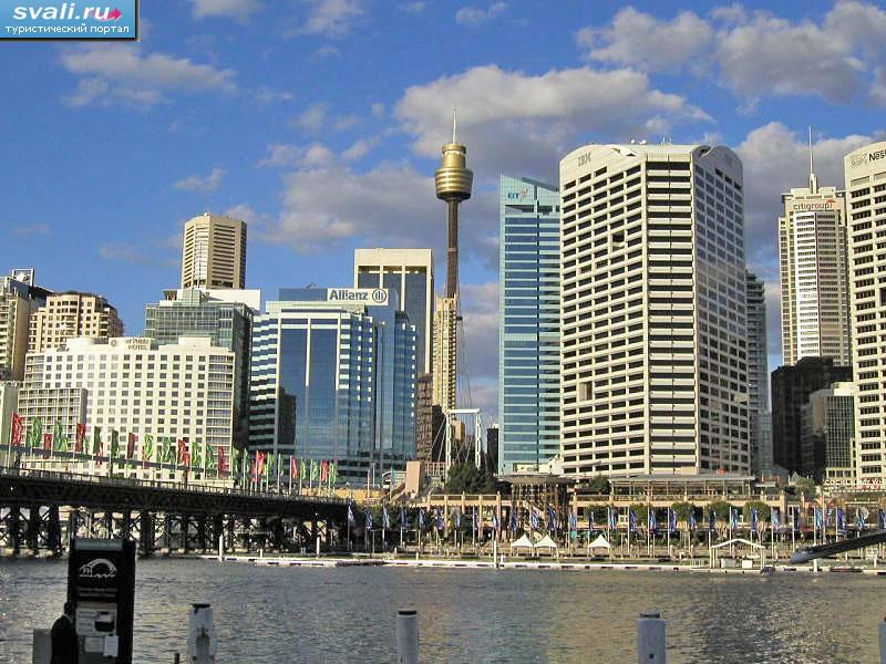 Сиднейская башня (AMP Tower), Сидней, Австралия.