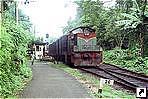 Железная дорога, Шри-Ланка.