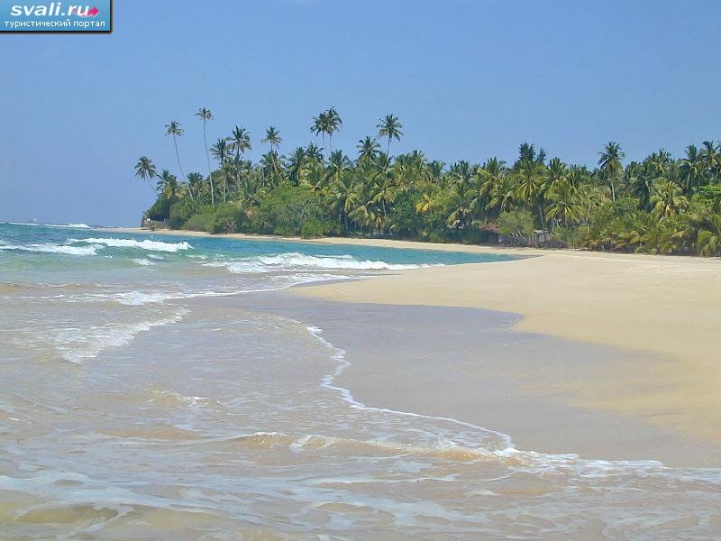 Пляж, Шри-Ланка.