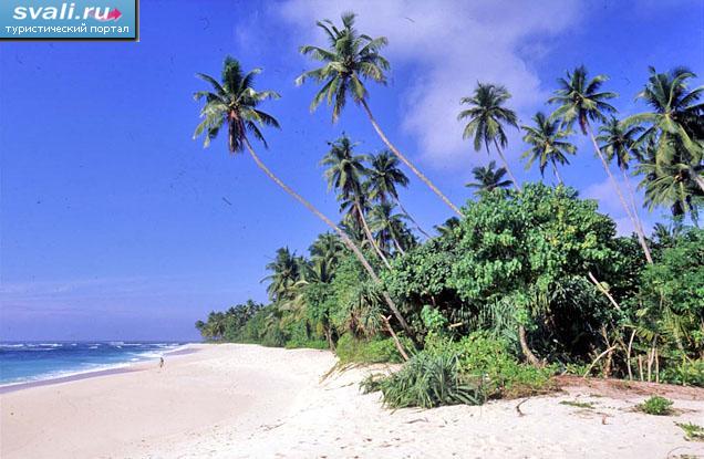 Пляж, Шри-Ланка.