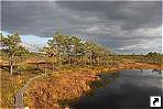 Национальный парк Соомаа - болотный заповедник, Эстония.