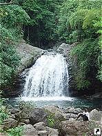 Водопады Мэйфилд, Голубые горы, Ямайки.