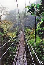 Система подвесных мостов SkyWalk в парке Монтеверде, Коста-Рика.