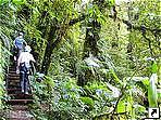 Скай Трек (Sky Trek) тур, парк Монтеверде, Коста-Рика.