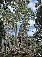 Храм Теп Пранам (Tep Pranam), Ангкор, Камбоджа.