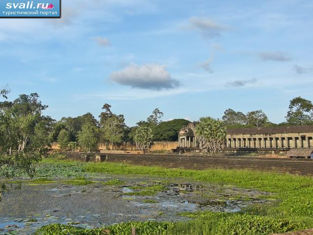      (Angkor Wat), , - (Siem Reap), .