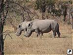 Национальный парк Замбези, Зимбабве.