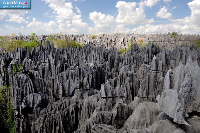 Нацональный парк Цинги-де-Бемараха, Мадагаскар.