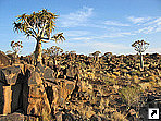 Китмансхуп, лес колчанных деревьев, Намибия.