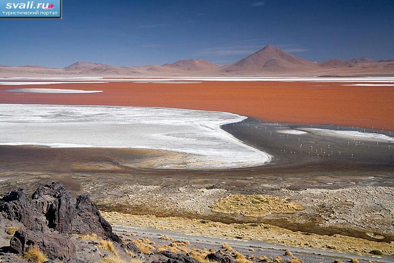 Озеро Колорадо (Laguna Colorada), Боливия.