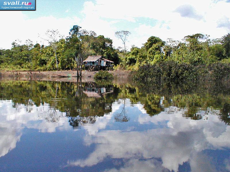 Амазония, Летисия, Колумбия.