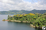 Озеро Гатун (Gatun Lake), Панама.