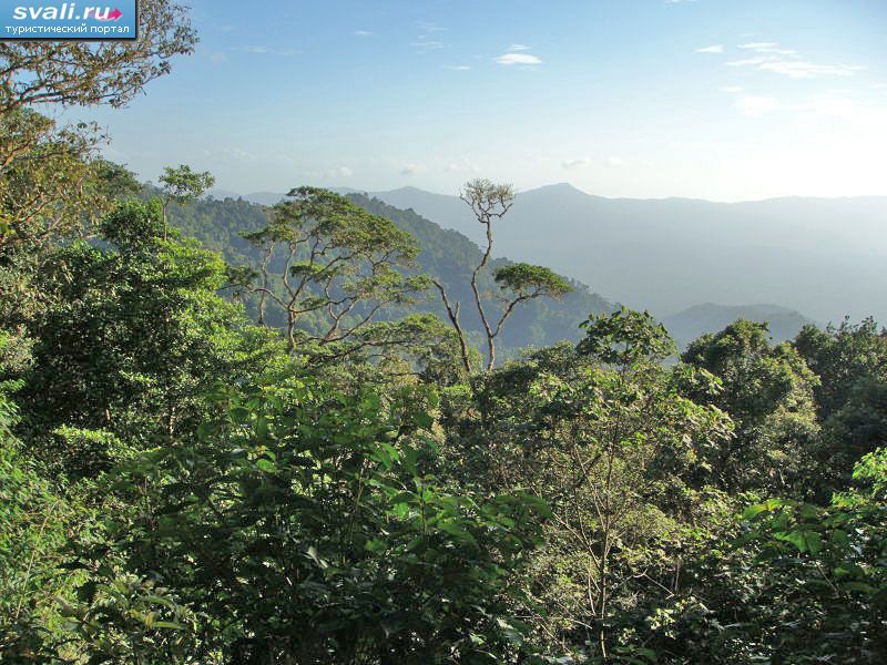 Национальный парк Дарьен (Darien), Панама.