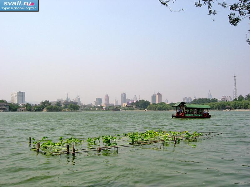   (Da Ming lake),  (Jinan),   (Shandong), .