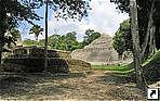 Древний город майя Каракол (Caracol), Белиз.