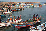 Рыбный рынок, Ходейда (Hudaydah), Йемен.