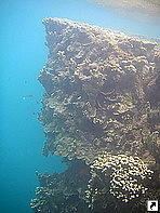 Голубая впадина, остров Косрае, Федеративные Штаты Микронезии.