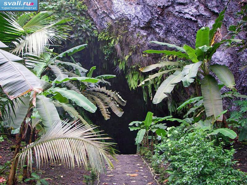 Пещера Wiya Bird, Косрае, Федеративные Штаты Микронезии.