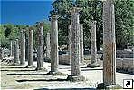 "Палестра", руины города Олимпия, Греция.