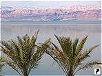 Мертвое море, Израиль.