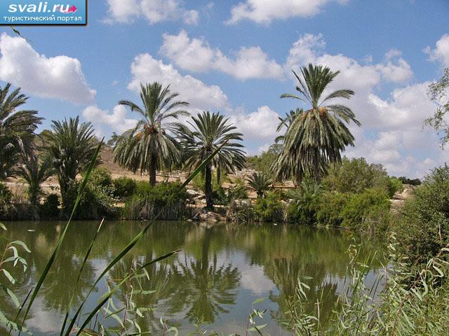 Парк библейских растений (Неот-Кедумим), пруд Соломона, Израиль.