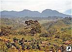 Долина Балием (Baliem Valley), остров Новая Гвинея, Ириан Джая (Irian Jaya), Индонезия.