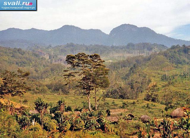   (Baliem Valley),   ,   (Irian Jaya), .