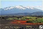Самый известный вулкан Исландии - Гекла. 