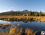 Национальный парк Джаспер (Jasper National Park), район Скалистых гор, провинция Альберта, Канада.