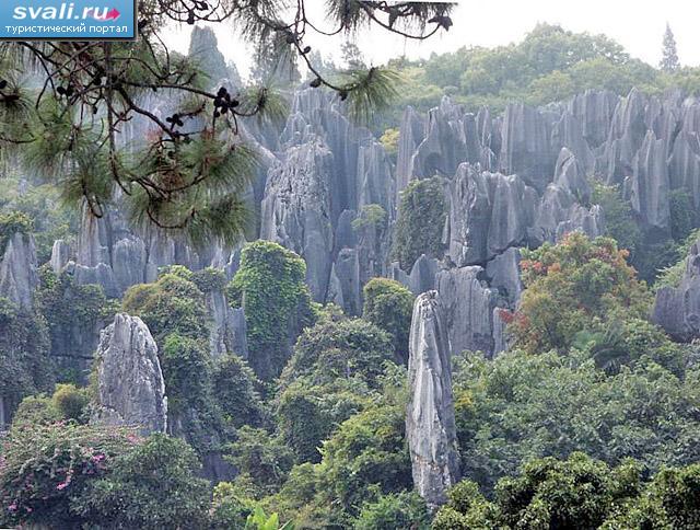 "Каменный лес" (Stone Forest) в 120 км к юго-востоку от  Куньмина (Kunming), провинция Юньнань (Yunnan), Китай. 