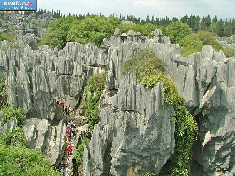 " " (Stone Forest)  120   -    (Kunming),   (Yunnan), .