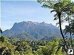 Гора Кинабалу (Kinabalu), штат Сабах (Sabah), остров Калимантан (Борнео), Малайзия.