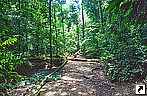 Найональный парк Мулу, штат Саравак, Малайзия.