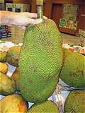 Jackfruit (Ka-noon). (450x600 104Kb)