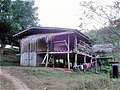 Джунгли в окрестностях Чиангмая, вторая деревня Карен. Дом где, мы жили. (600x450 73Kb)