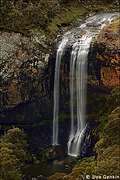  " Ebor", Waterfall Way -   Armidale  Bellingen,  78 , NSW,  (402x602 132Kb)