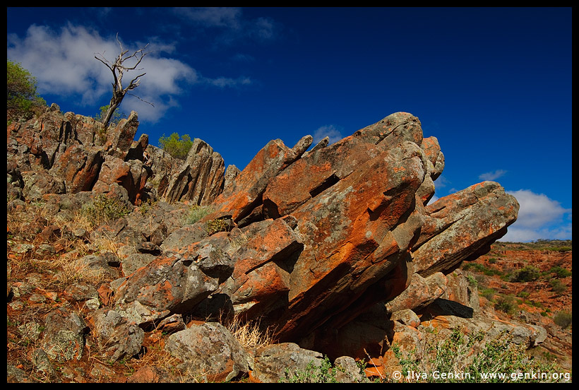 Kolay Mirica Falls (3), Gawler Ranges NP, Eyre Peninsula, South Australia