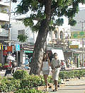 Фаранг и тайка - обычная картинка для улиц Паттайи. (626x690 201Kb)