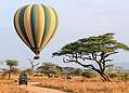 Сафари на воздушном шаре, Танзания. (600x432 100Kb)