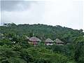  Camino Real Tikal (640x480 113Kb)