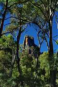 Bress Peak   , Warrumbungle NP,   Coonabarabran, NSW,  (399x600 161Kb)