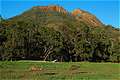 Belougery Split Rock, Warrumbungle NP,   Coonabarabran, NSW,  (600x399 156Kb)