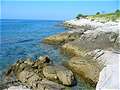 Скалистый берег моря, Хорватия. (450x337 68Kb)