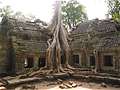    (Angkor),    (Ta Prohm Wat), - (Siem Reap), .